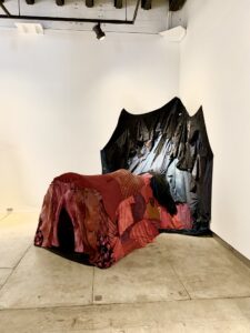 installation by Andrea Collazo-Salazar